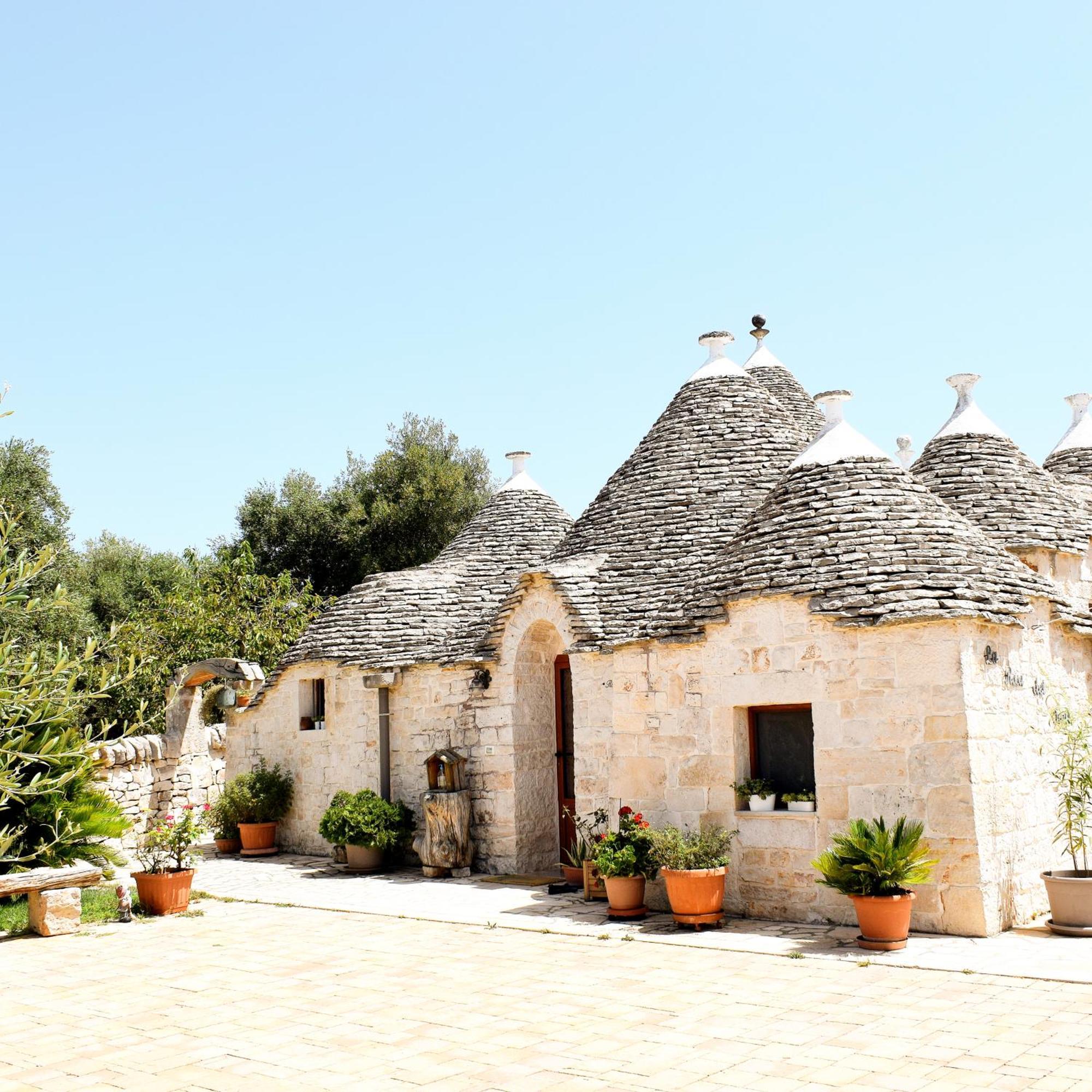La Rosa Dei Trulli B&B Αλμπερομπέλο Εξωτερικό φωτογραφία