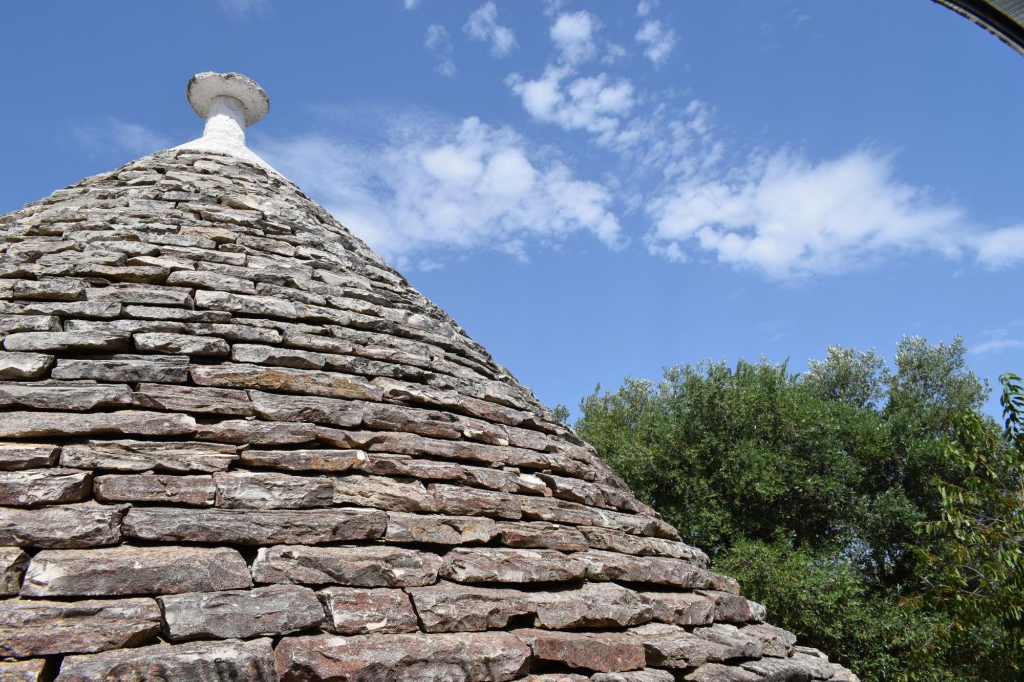 La Rosa Dei Trulli B&B Αλμπερομπέλο Εξωτερικό φωτογραφία
