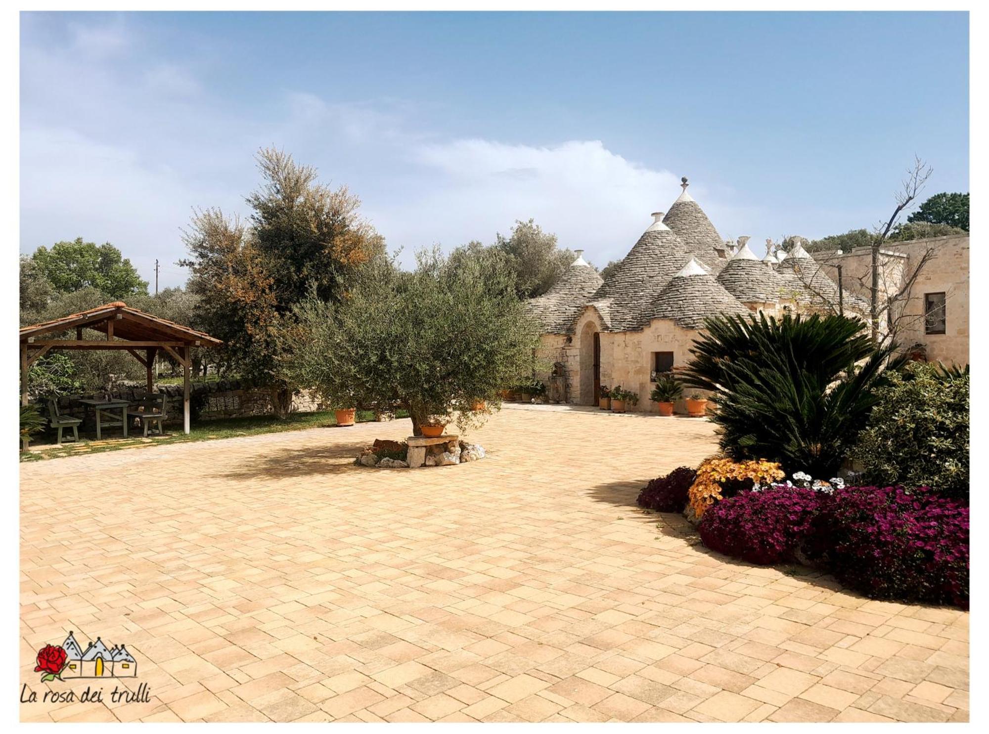 La Rosa Dei Trulli B&B Αλμπερομπέλο Εξωτερικό φωτογραφία