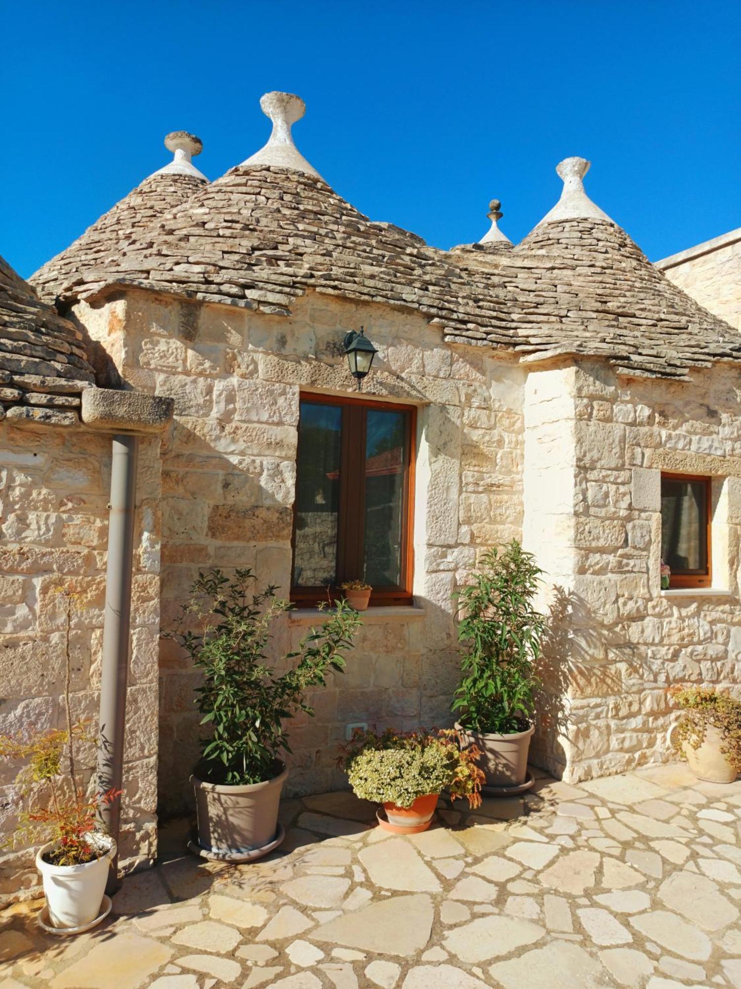 La Rosa Dei Trulli B&B Αλμπερομπέλο Εξωτερικό φωτογραφία