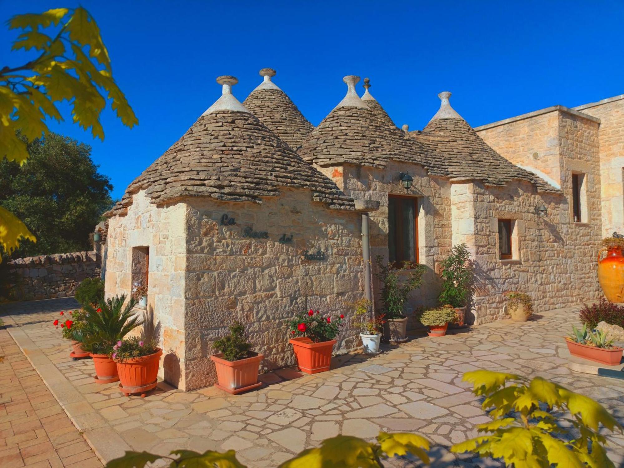 La Rosa Dei Trulli B&B Αλμπερομπέλο Εξωτερικό φωτογραφία