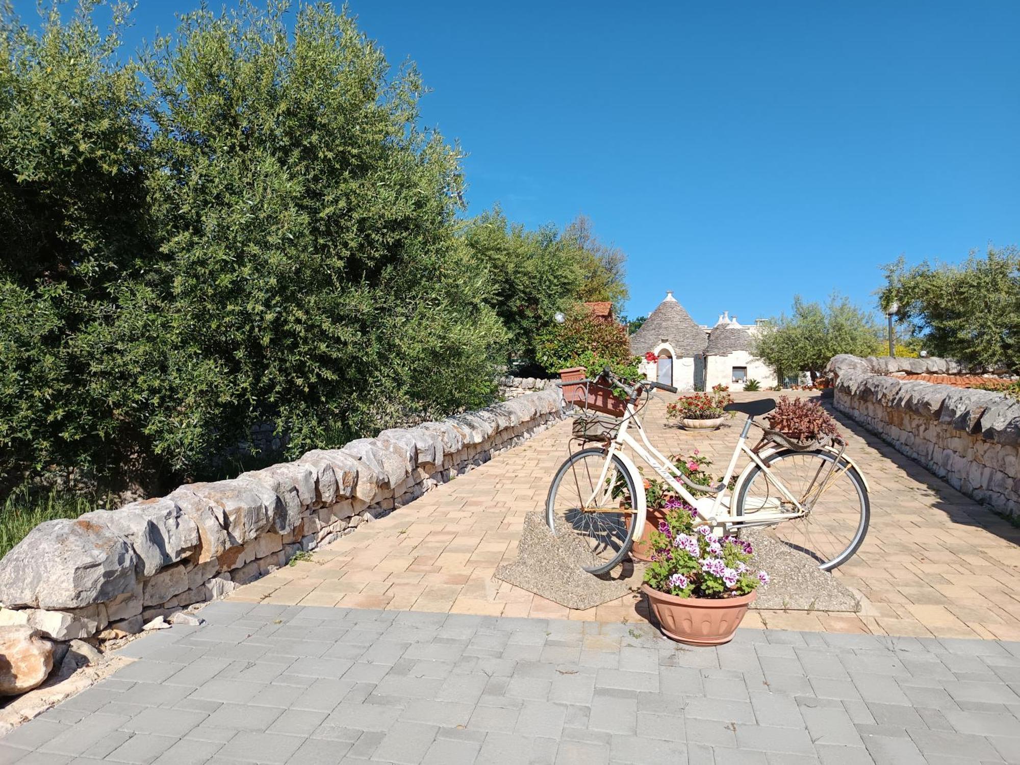 La Rosa Dei Trulli B&B Αλμπερομπέλο Εξωτερικό φωτογραφία
