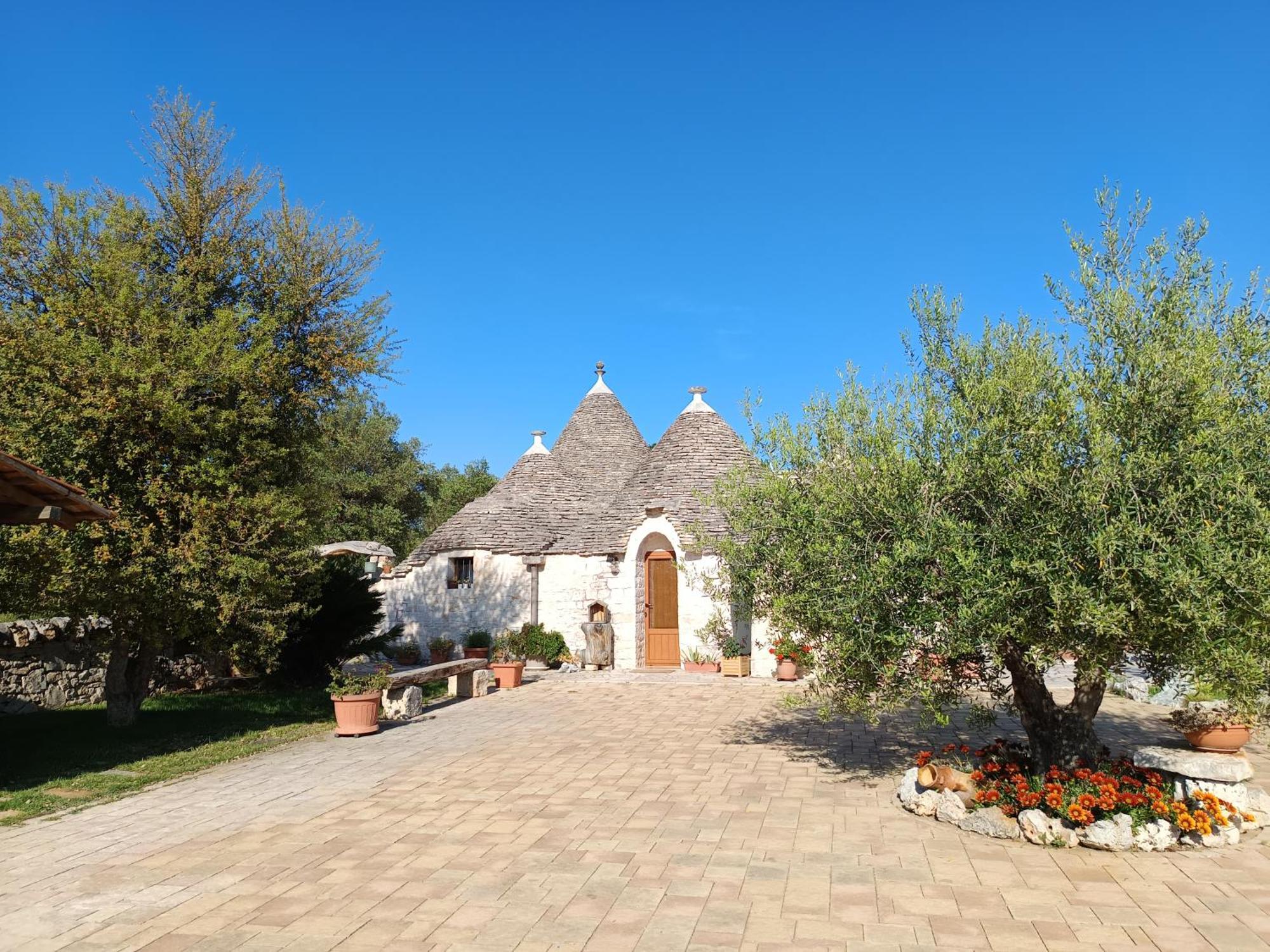 La Rosa Dei Trulli B&B Αλμπερομπέλο Εξωτερικό φωτογραφία