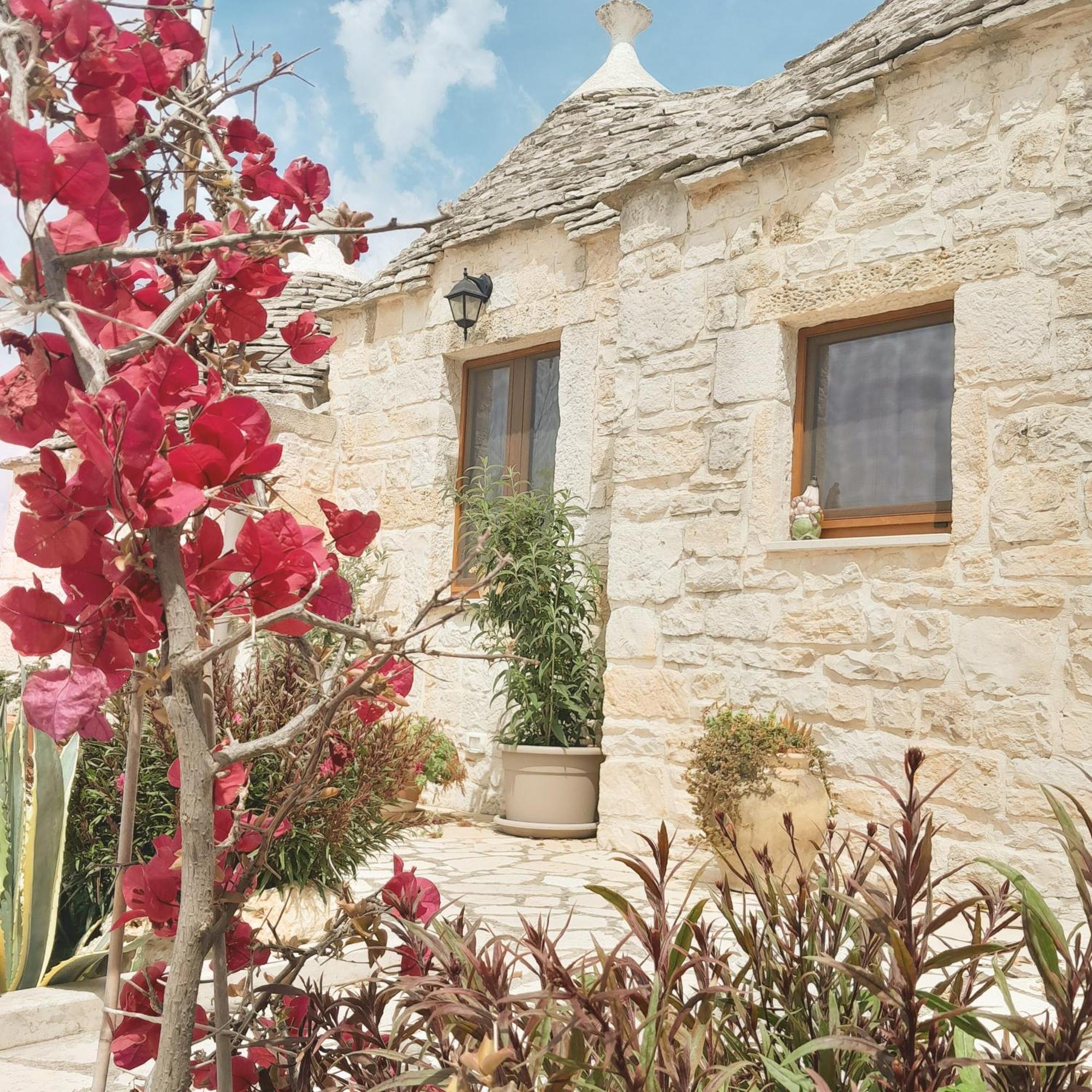 La Rosa Dei Trulli B&B Αλμπερομπέλο Εξωτερικό φωτογραφία