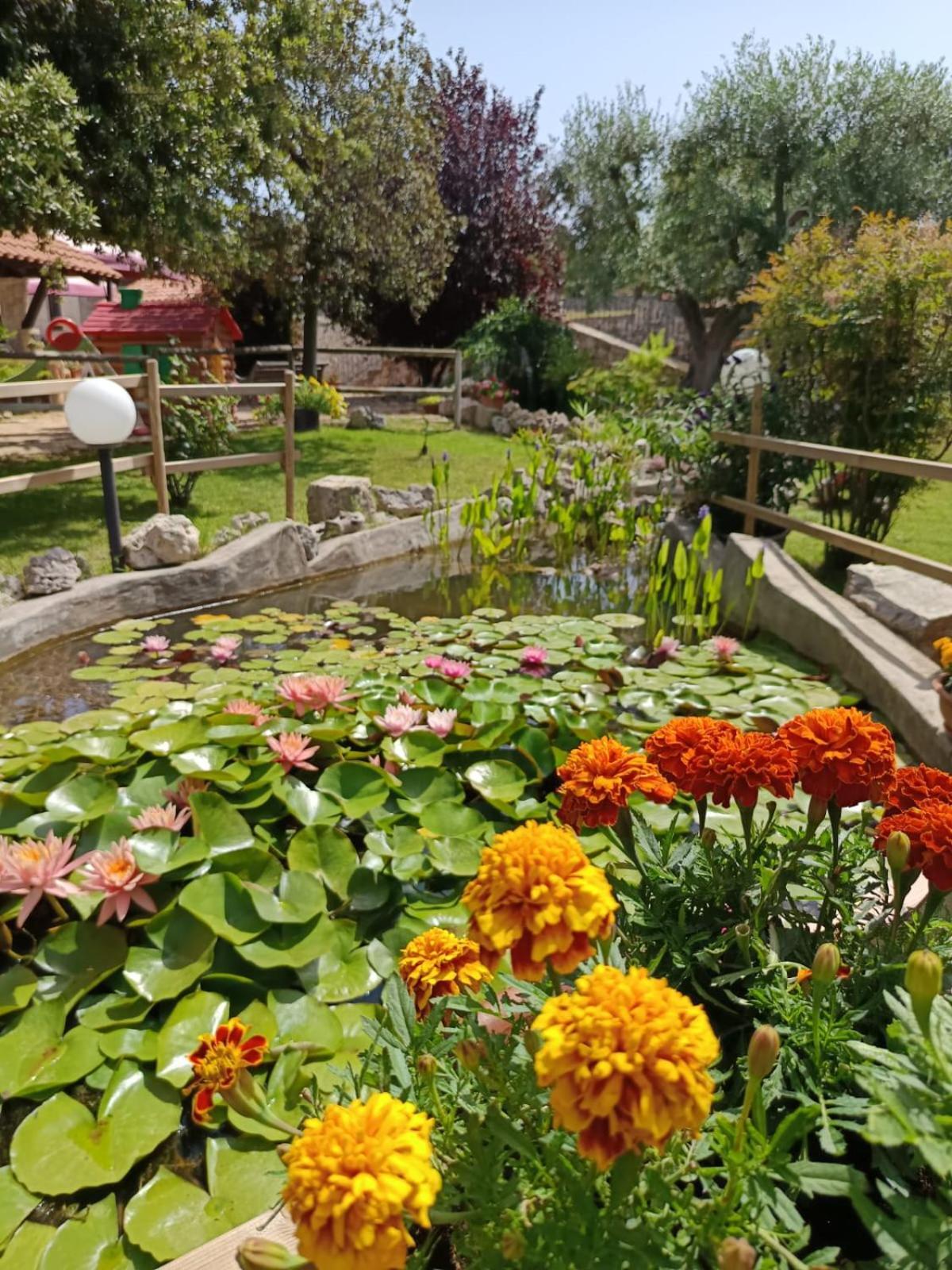 La Rosa Dei Trulli B&B Αλμπερομπέλο Εξωτερικό φωτογραφία