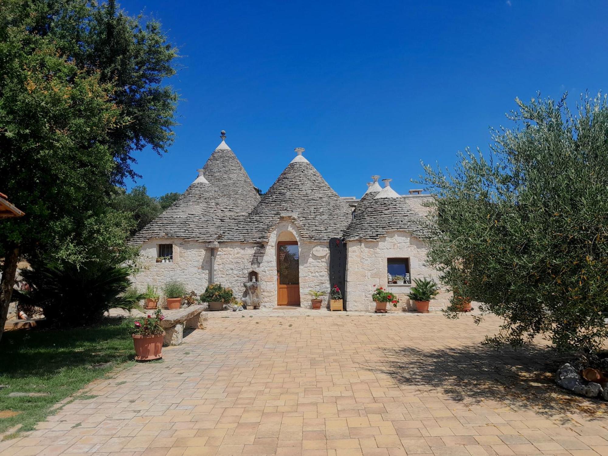 La Rosa Dei Trulli B&B Αλμπερομπέλο Εξωτερικό φωτογραφία