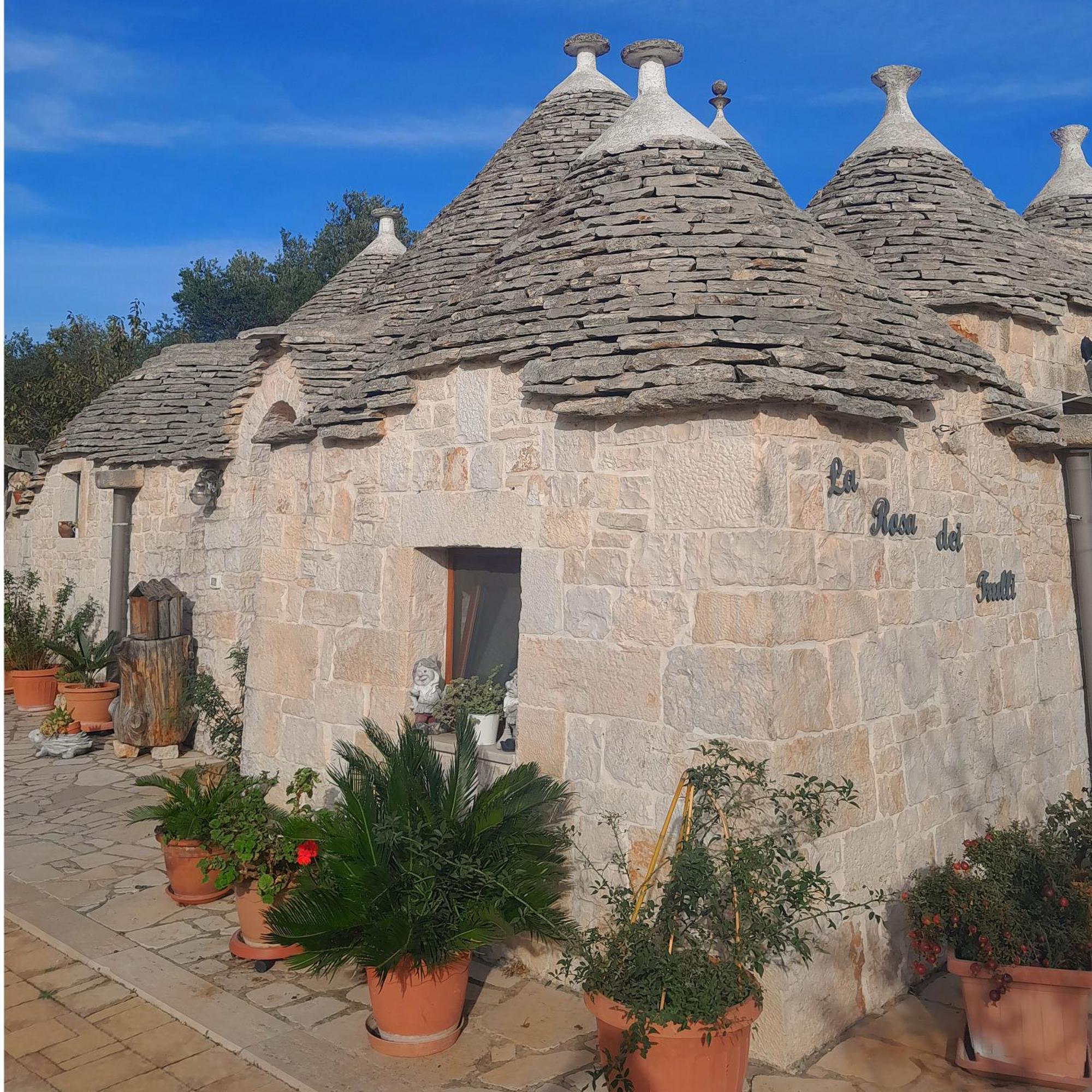 La Rosa Dei Trulli B&B Αλμπερομπέλο Δωμάτιο φωτογραφία