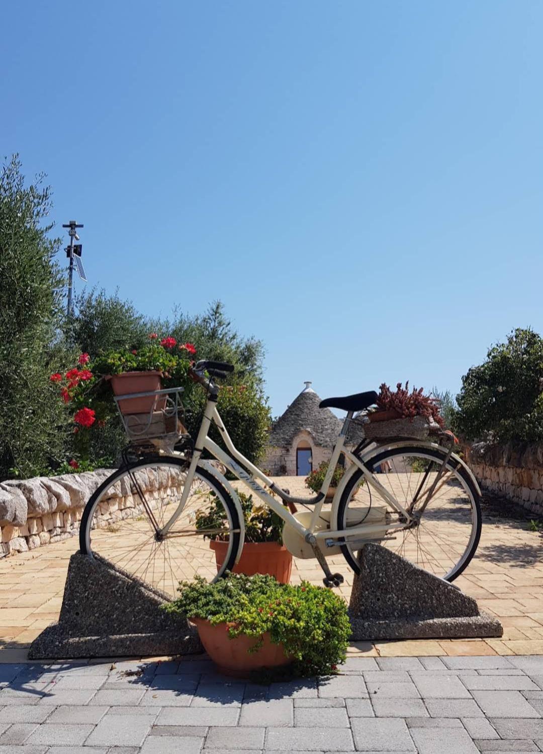 La Rosa Dei Trulli B&B Αλμπερομπέλο Εξωτερικό φωτογραφία