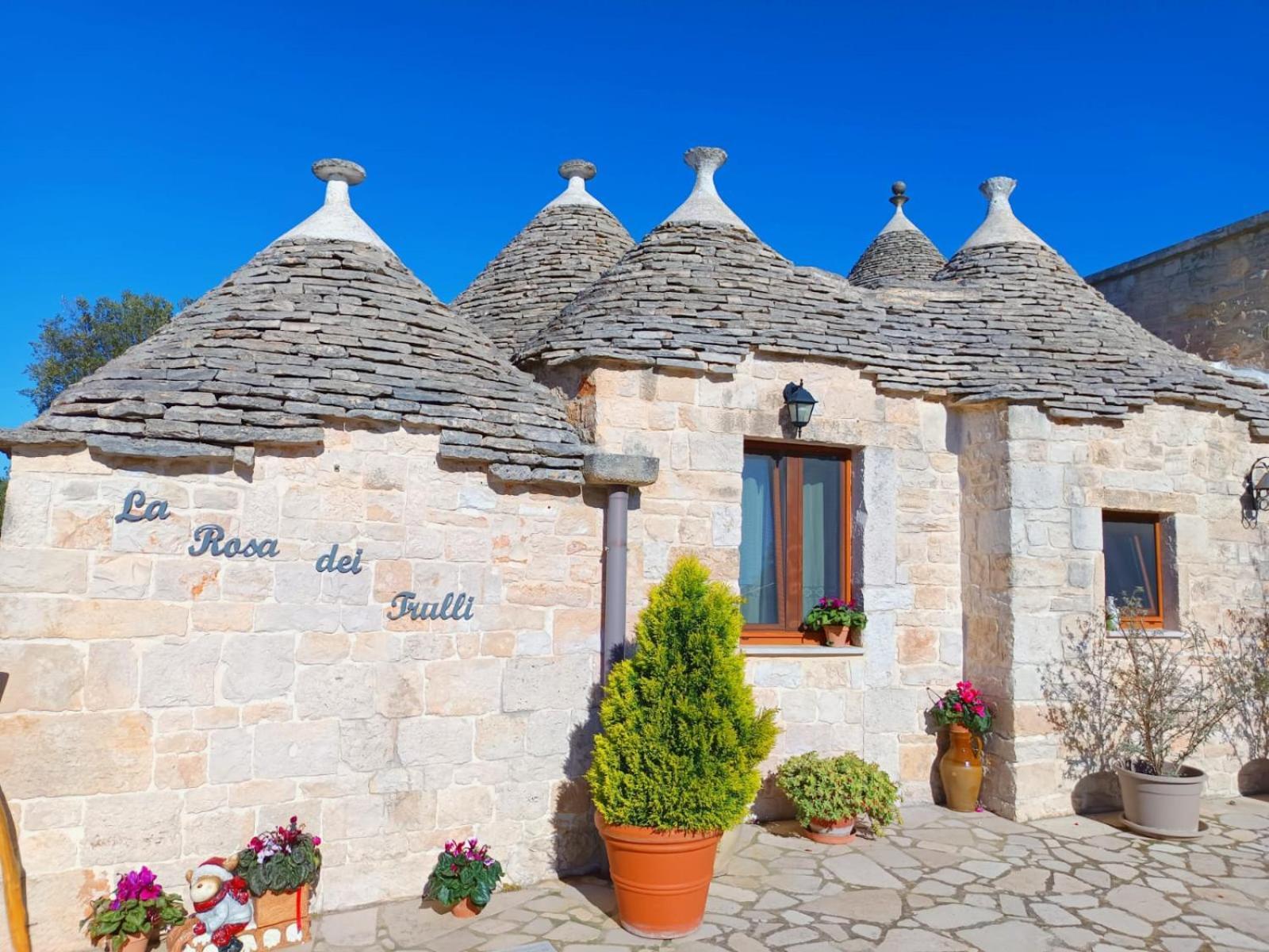 La Rosa Dei Trulli B&B Αλμπερομπέλο Εξωτερικό φωτογραφία