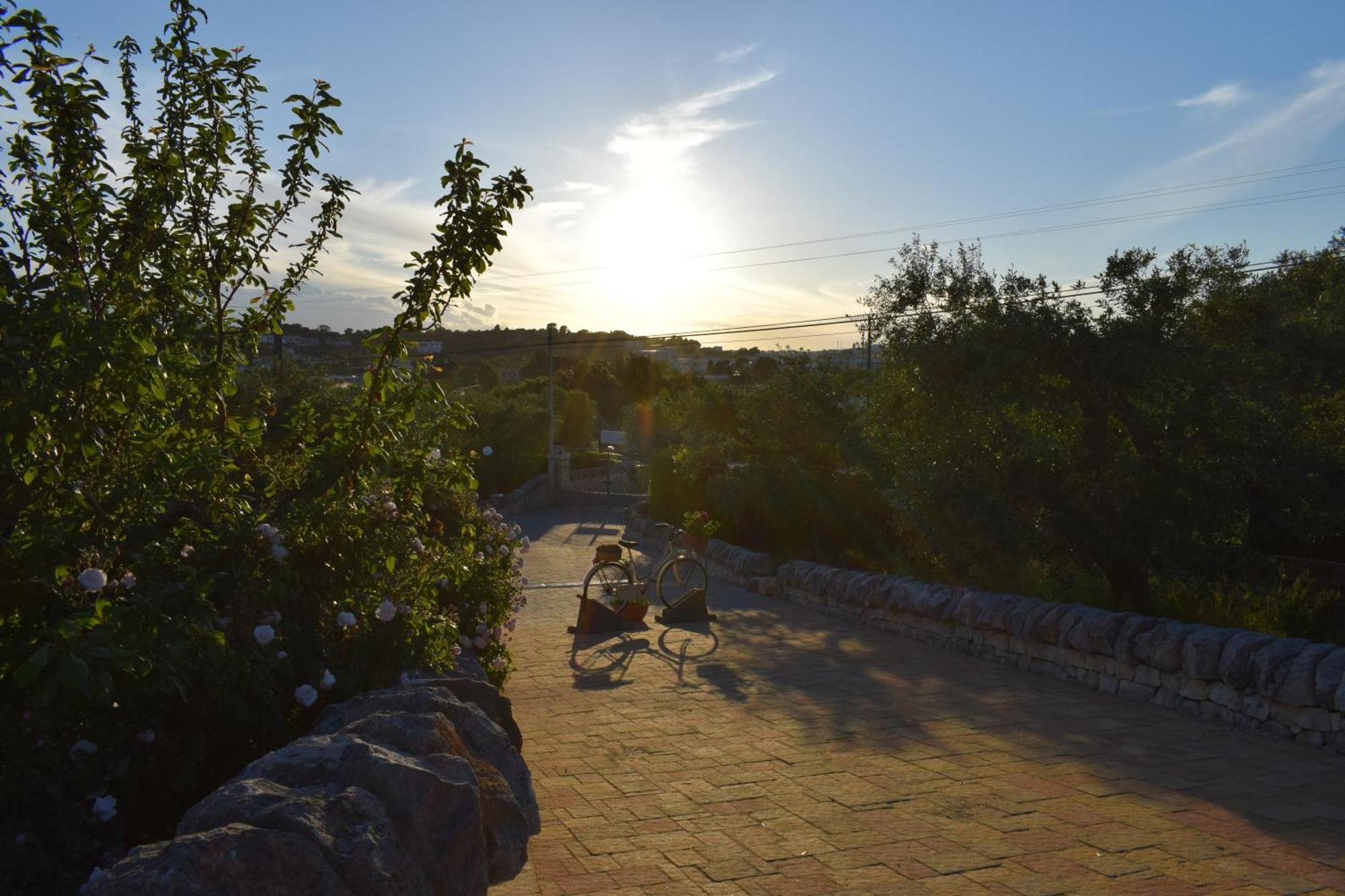 La Rosa Dei Trulli B&B Αλμπερομπέλο Εξωτερικό φωτογραφία