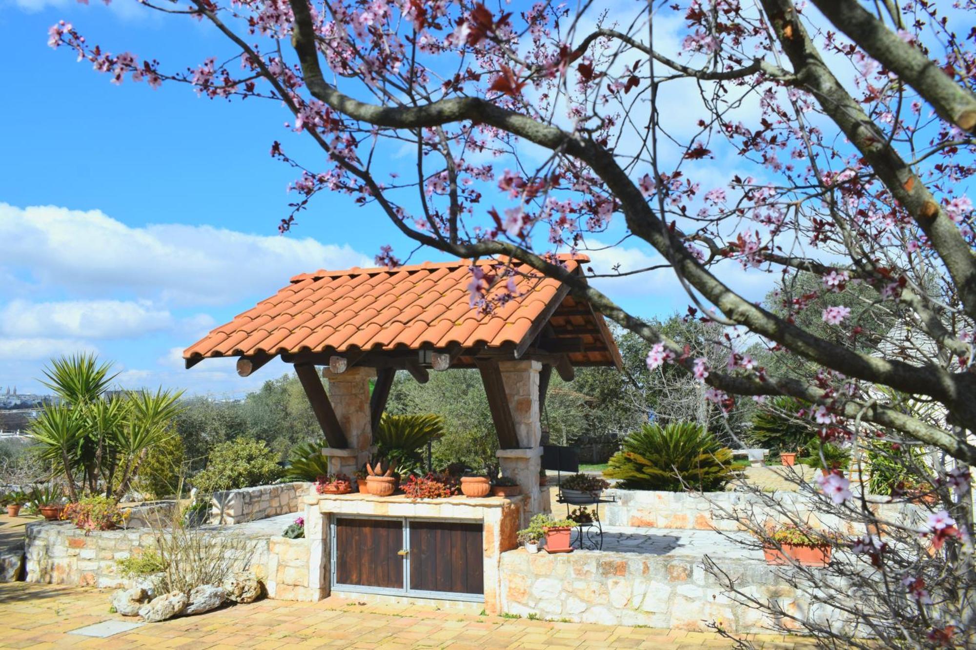 La Rosa Dei Trulli B&B Αλμπερομπέλο Εξωτερικό φωτογραφία