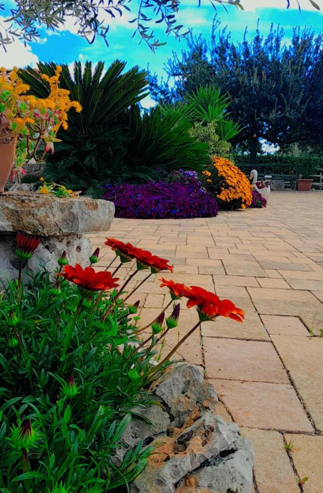 La Rosa Dei Trulli B&B Αλμπερομπέλο Εξωτερικό φωτογραφία