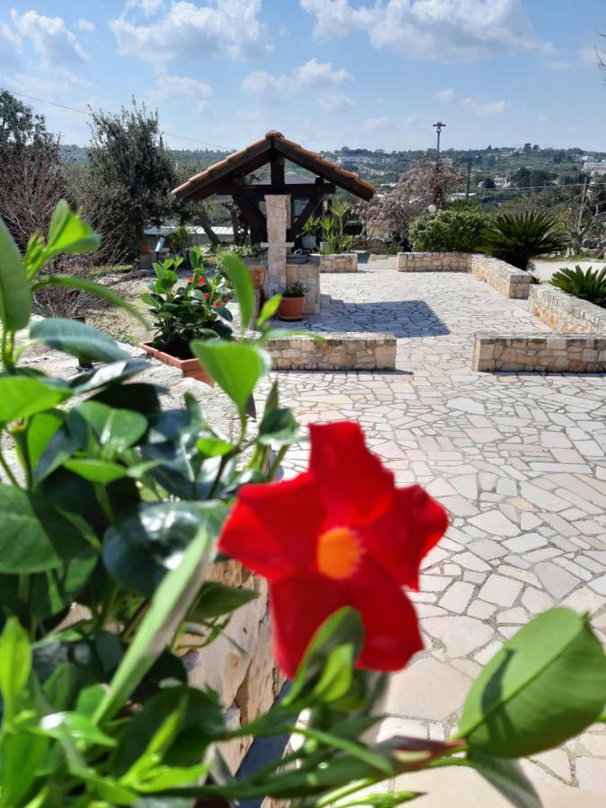 La Rosa Dei Trulli B&B Αλμπερομπέλο Εξωτερικό φωτογραφία