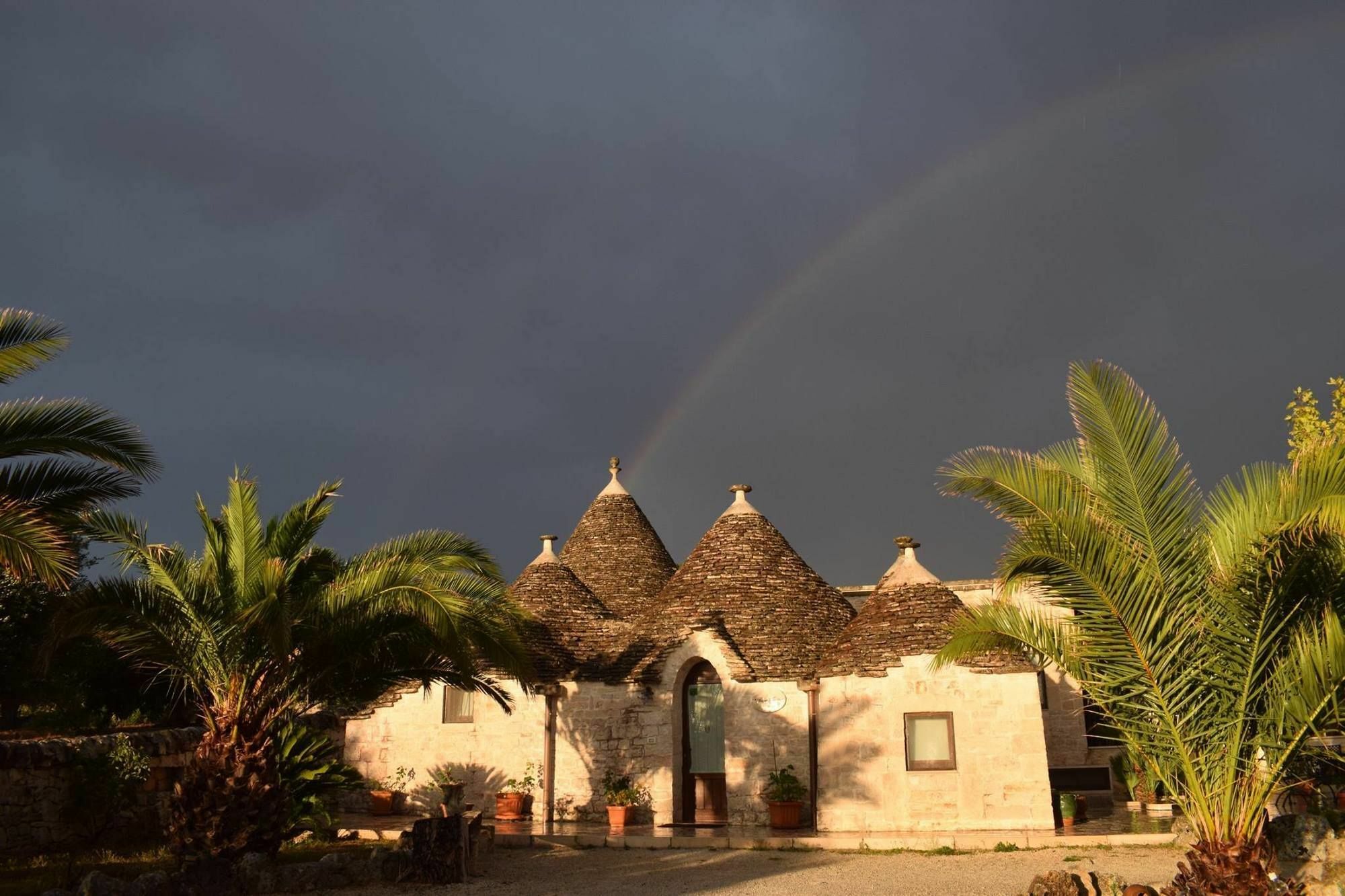 La Rosa Dei Trulli B&B Αλμπερομπέλο Εξωτερικό φωτογραφία